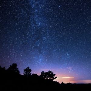 Meet your Posher, Sasha